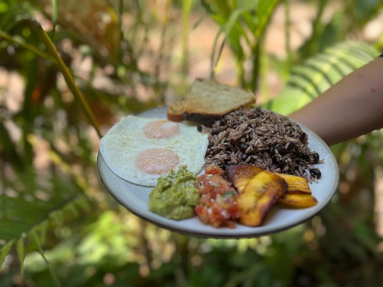 Dream Surf House Santa Teresa Hostel Playa Hermosa Cobano Luaran gambar