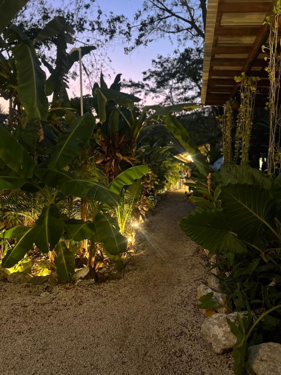 Dream Surf House Santa Teresa Hostel Playa Hermosa Cobano Luaran gambar