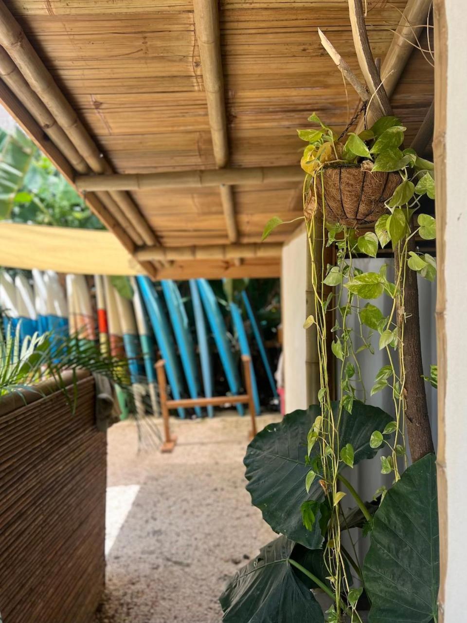 Dream Surf House Santa Teresa Hostel Playa Hermosa Cobano Luaran gambar