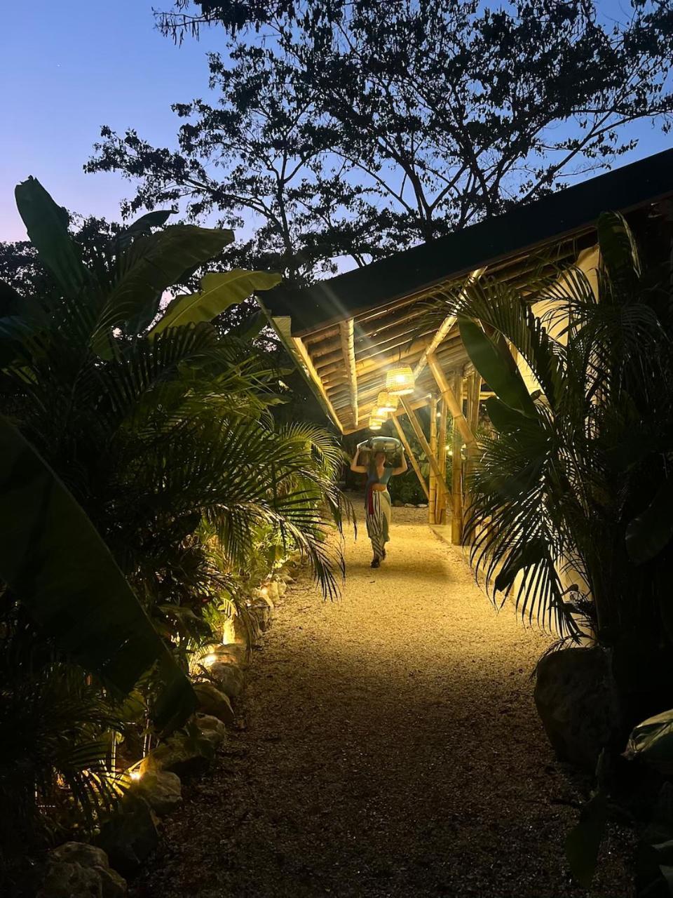 Dream Surf House Santa Teresa Hostel Playa Hermosa Cobano Luaran gambar