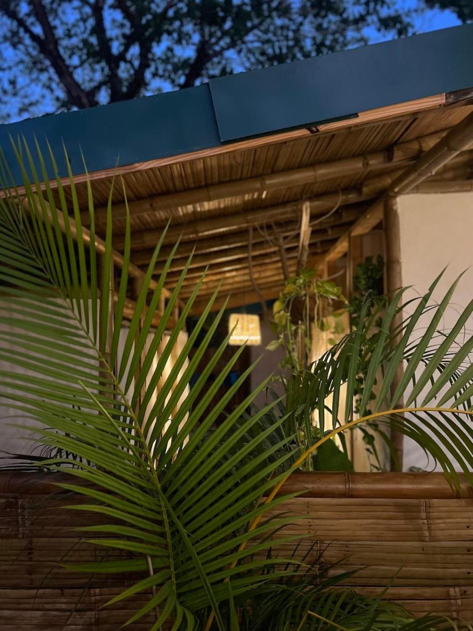 Dream Surf House Santa Teresa Hostel Playa Hermosa Cobano Luaran gambar