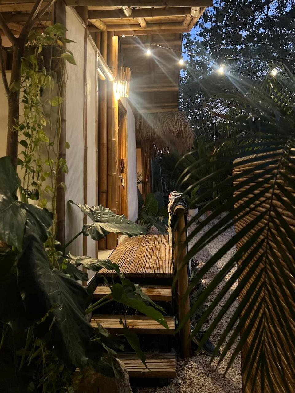Dream Surf House Santa Teresa Hostel Playa Hermosa Cobano Luaran gambar