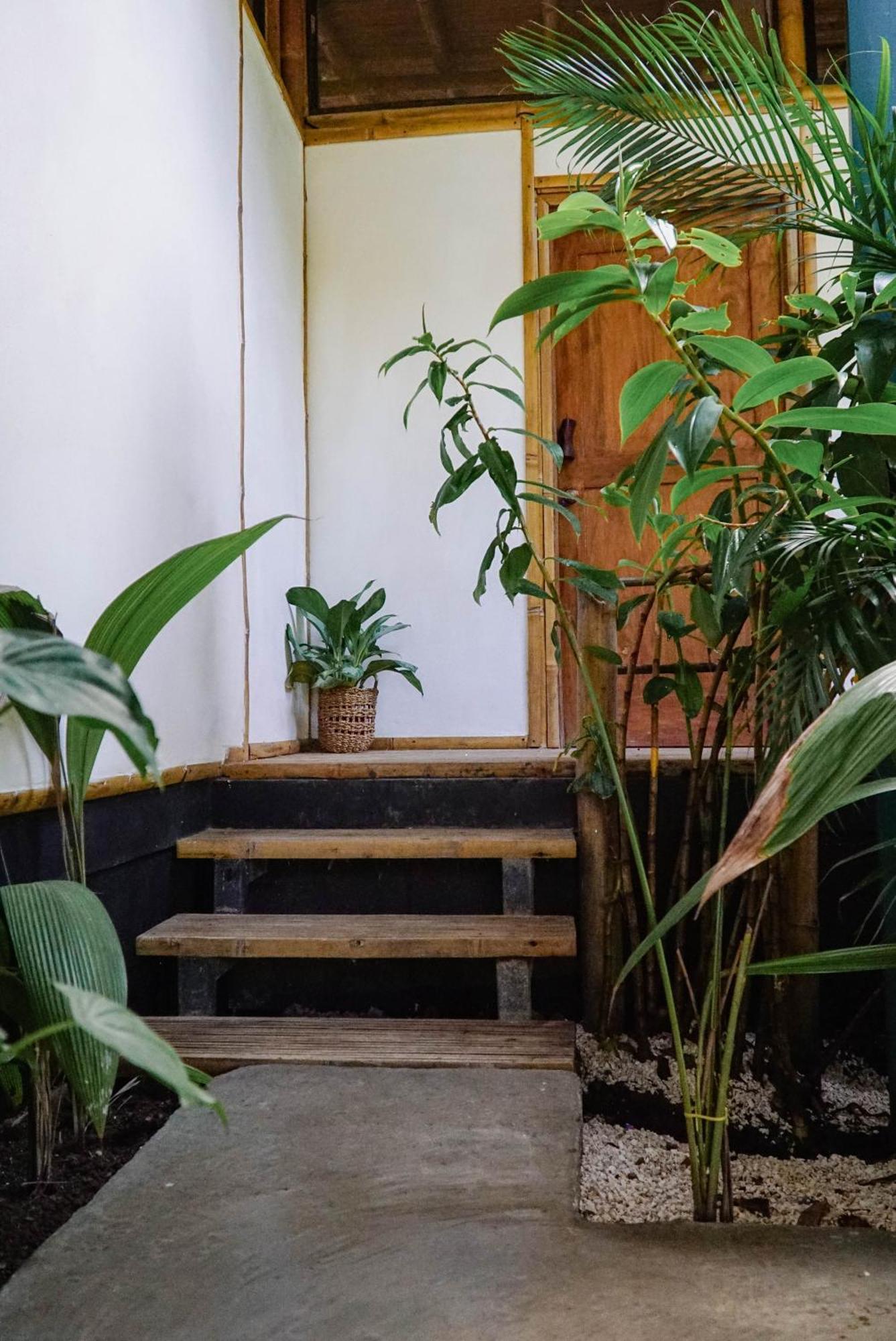 Dream Surf House Santa Teresa Hostel Playa Hermosa Cobano Luaran gambar