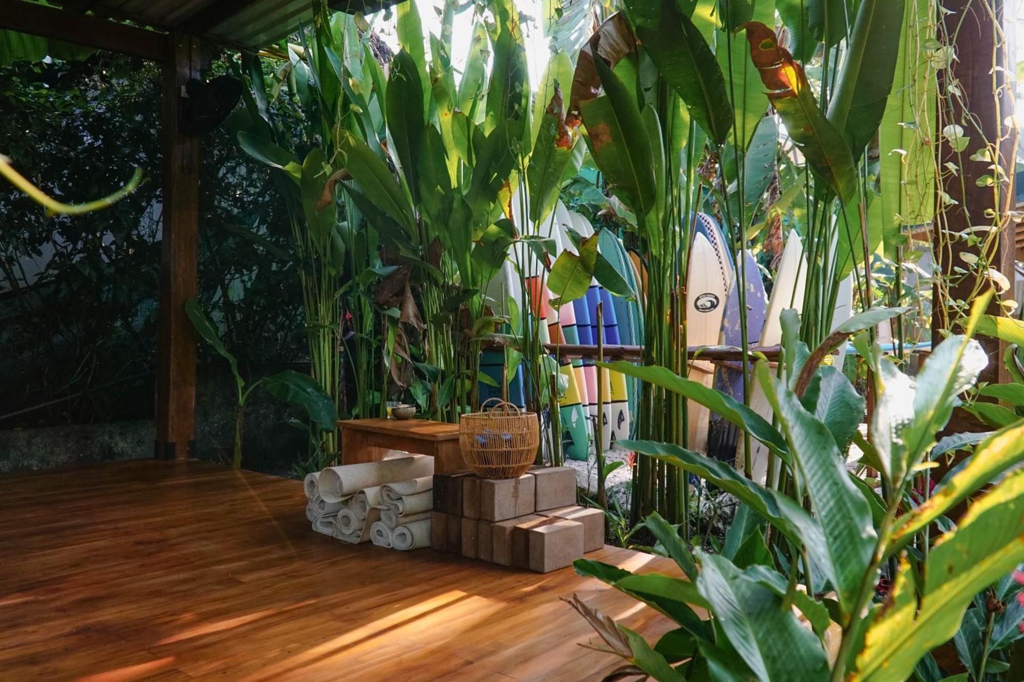Dream Surf House Santa Teresa Hostel Playa Hermosa Cobano Luaran gambar