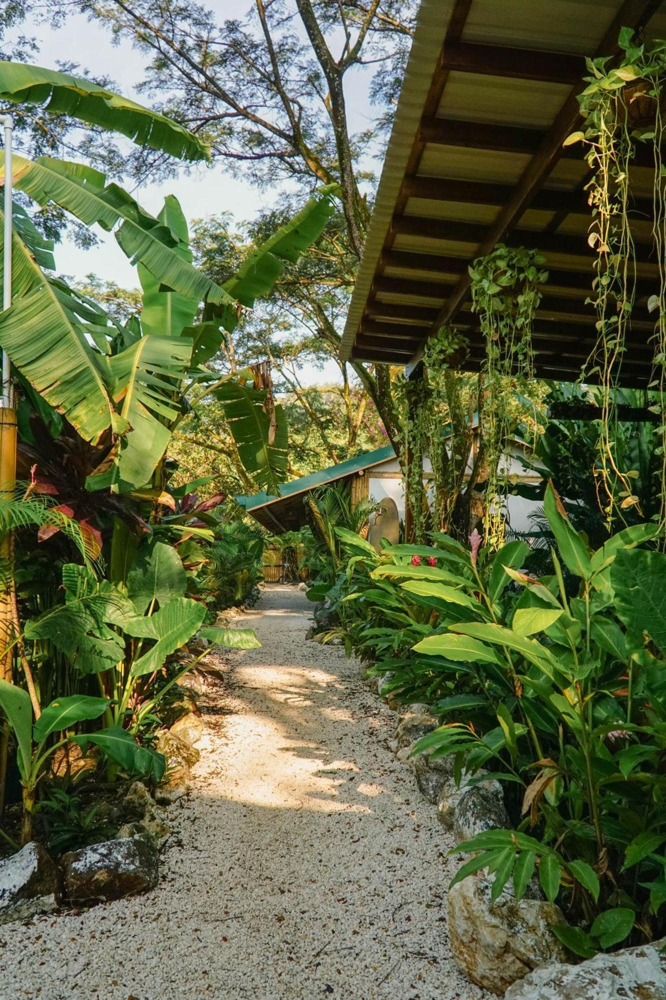 Dream Surf House Santa Teresa Hostel Playa Hermosa Cobano Luaran gambar