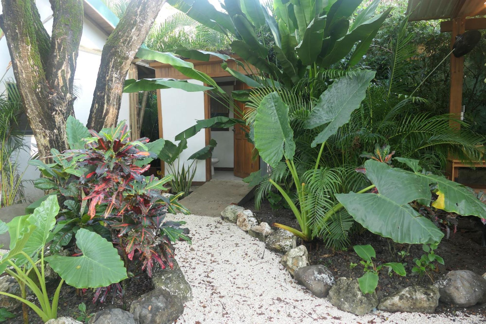 Dream Surf House Santa Teresa Hostel Playa Hermosa Cobano Luaran gambar