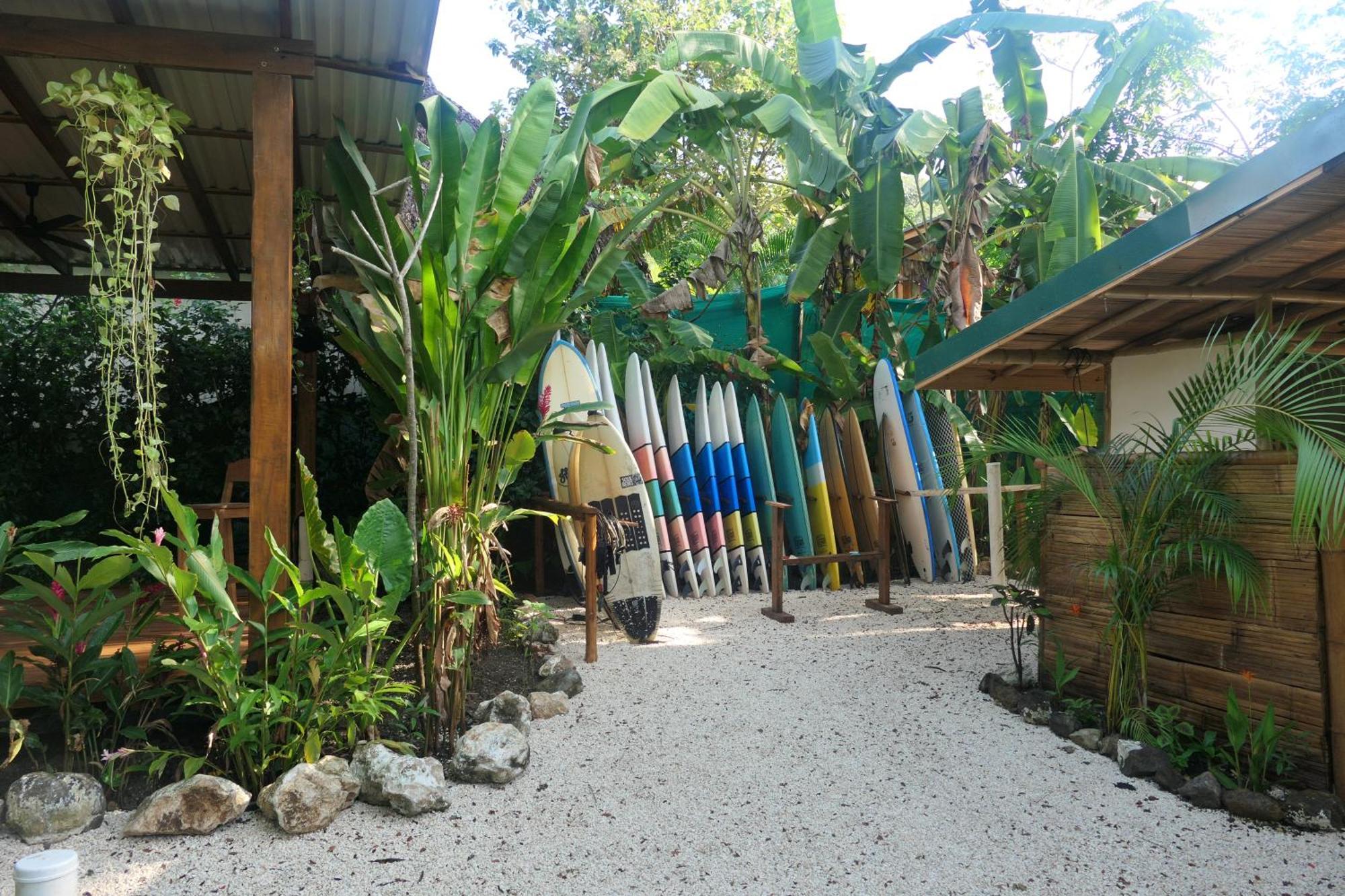 Dream Surf House Santa Teresa Hostel Playa Hermosa Cobano Luaran gambar