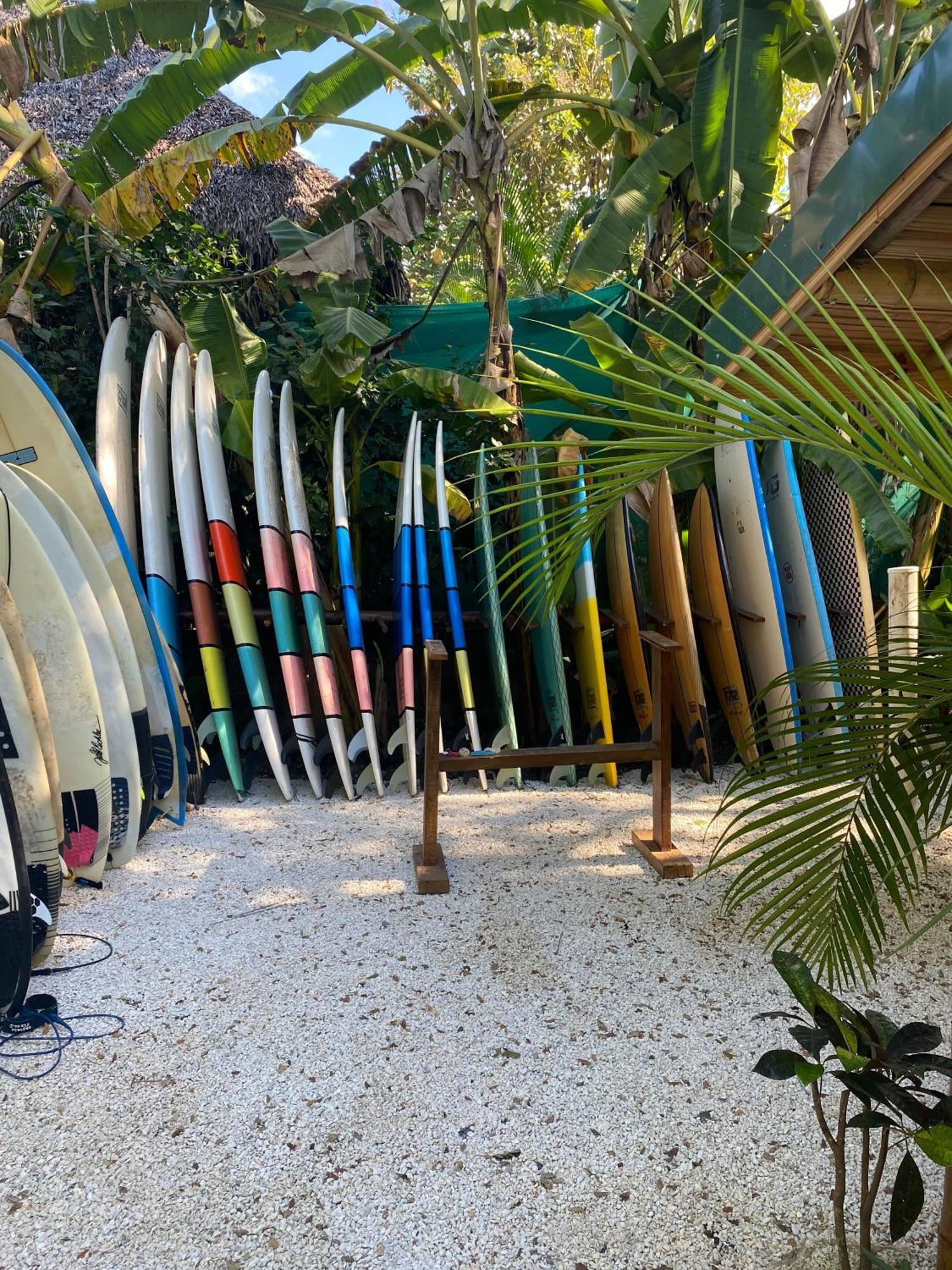Dream Surf House Santa Teresa Hostel Playa Hermosa Cobano Luaran gambar